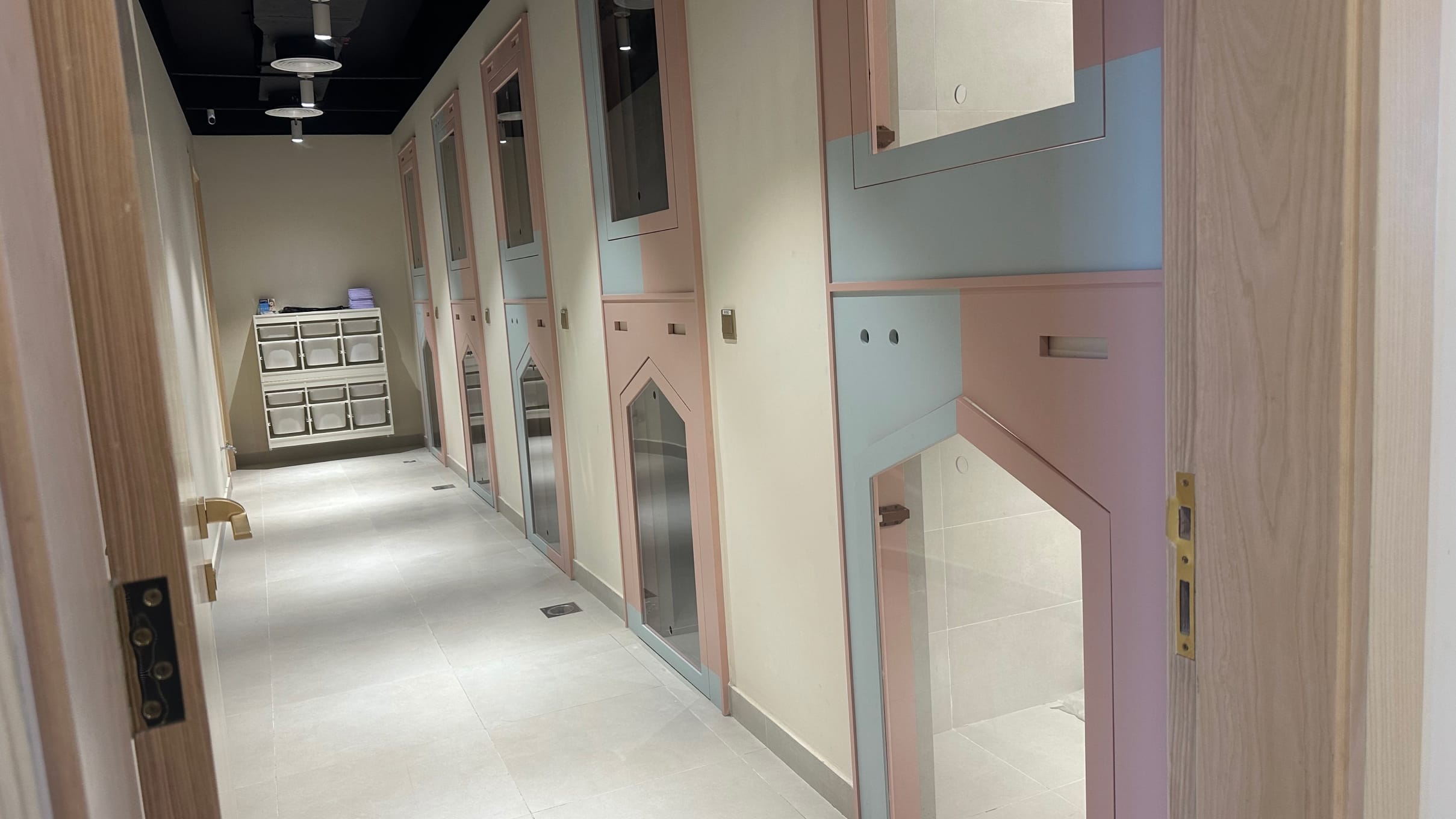 10 Tips for StressFree Pet Boarding at Pet Pavilion Abu Dhabi Pet Pavilion Veterinary Clinic